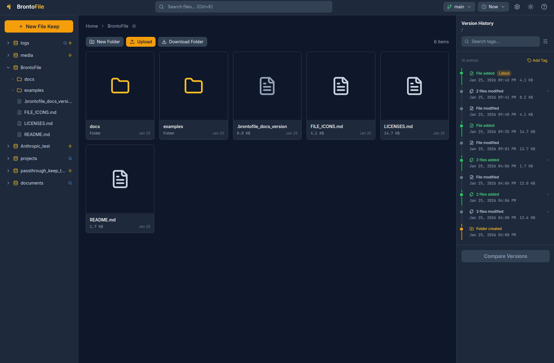 BrontoFile web interface showing file browser with Version History timeline